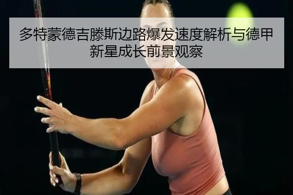 duo-te-meng-de-ji-teng-si-bian-lu-bao-fa-su-du-jie-xi-yu-de-jia-xin-xing-cheng-zhang-qian-jing-guan-cha-2-398.jpg